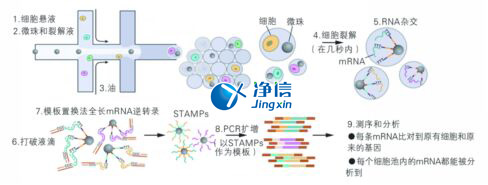 中國(guó)人自己的單細(xì)胞測(cè)序儀來(lái)了！