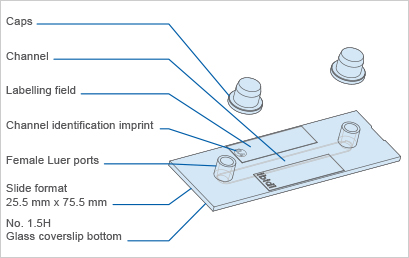 S_801XX_Slide_I_Luer_GB_KF.jpg